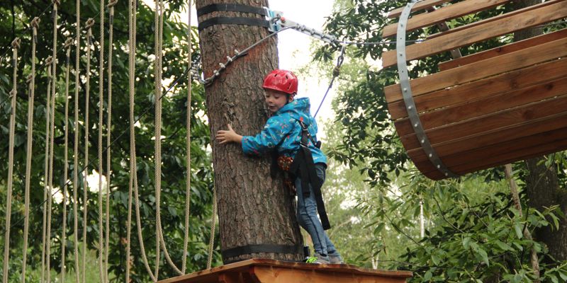 Jongen klampt zich vast aan een boom tijdens het klimmen in het klimpark