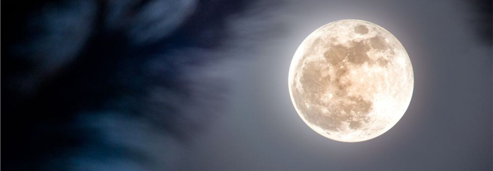 Vollemaan Wandeling met Astrologische Uitleg